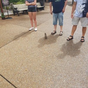 20190828_112725.jpg