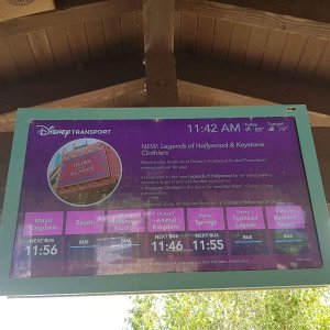 20190830_114236.jpg