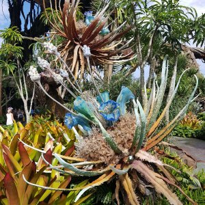 20190903_103254.jpg
