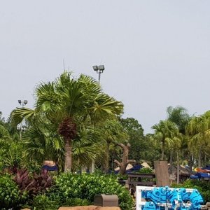 20190905_140242.jpg