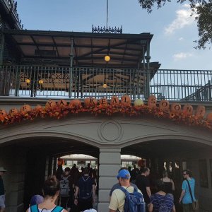 20190908_174815.jpg