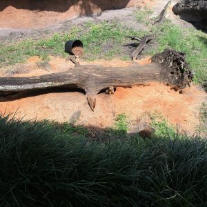 IMG_4967[1].JPG