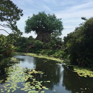 IMG_4990[1].JPG
