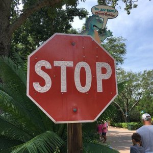 IMG_5019[1].JPG