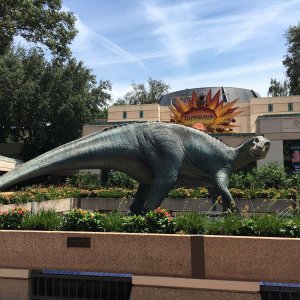 IMG_5027[1].JPG
