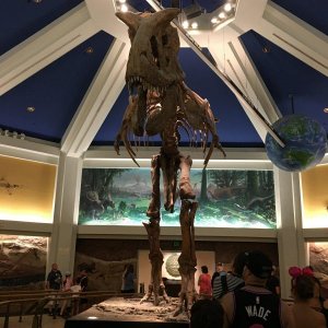 IMG_5028[1].JPG