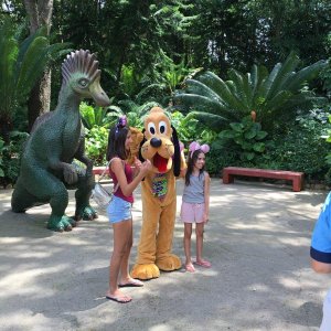 IMG_5029[1].JPG