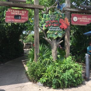 IMG_5040[1].JPG