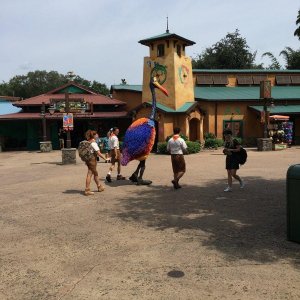 IMG_5049[1].JPG