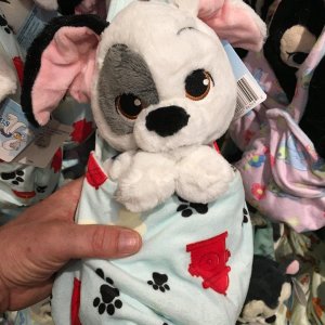 IMG_5050[1].JPG