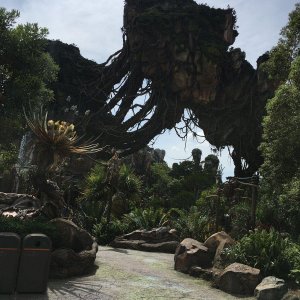 IMG_5052[1].JPG