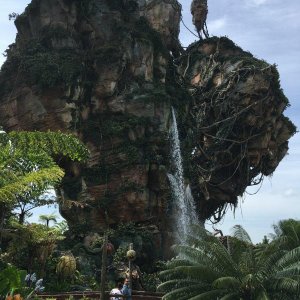 IMG_5054[1].JPG