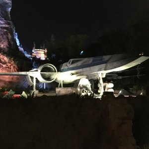 IMG_5134[1].JPG