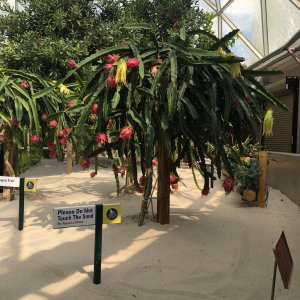 IMG_5158[1].JPG