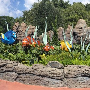 IMG_5168[1].JPG