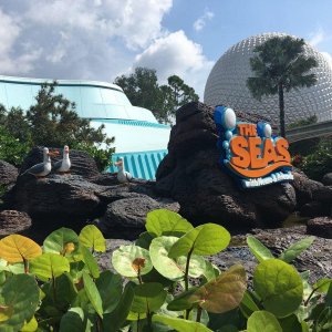 IMG_5170[1].JPG