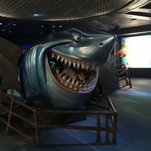IMG_5184[1].JPG