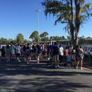IMG_5310[1].JPG