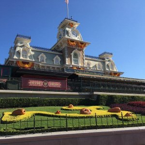 IMG_5319[1].JPG