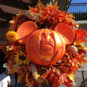 IMG_5322[1].JPG
