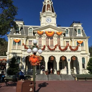 IMG_5325[1].JPG