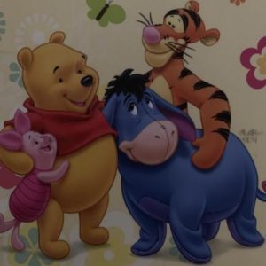 Winnie Pooh, Finnland