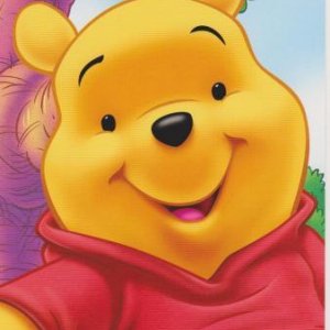 Winnie Pooh, Finnland