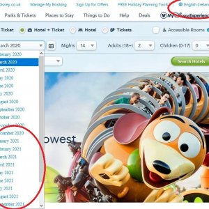 wdw2021.jpg