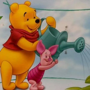 Winnie Pooh, Finnland