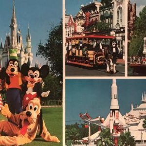 WDW, USA