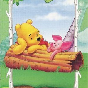 Winnie Pooh & Friends