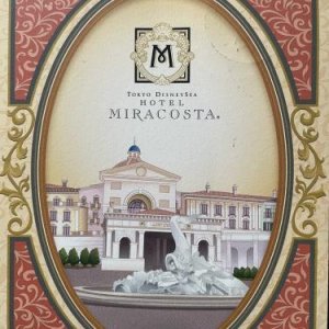 Tokyo, Mira Costa Hotel, Japan