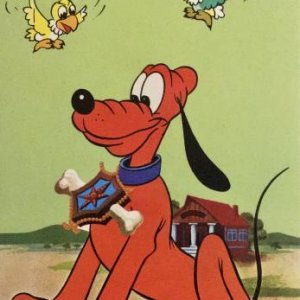 Pluto, Finnland