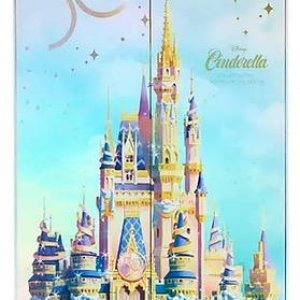 WDW 50th Anniversary Cinderella Doll Box - €140 - 02/2022