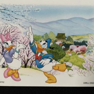 Donald & Daisy , Japan