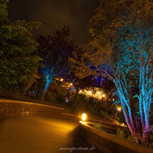 Phantom Manor - Mai 2019