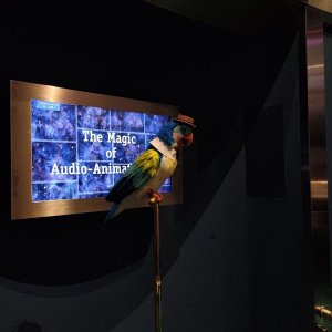 Walt_Disney_Family_Museum_Tikiroom_Barker-Bird_interaktives_Modell.jpg