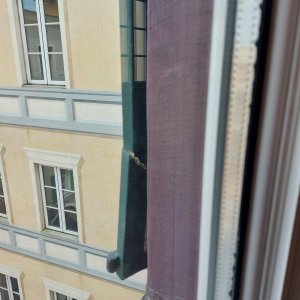 20220817_152453.jpg
