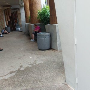 20220818_160540c.jpeg