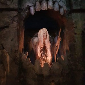 IMG-20220821-WA0004.jpg