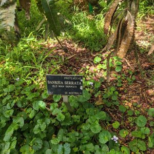 Botanischer_Garten_02.jpg
