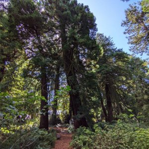 Botanischer_Garten_07.jpg