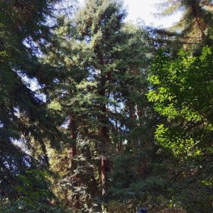Botanischer_Garten_09.jpg