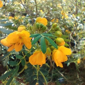 Botanischer_Garten_13.jpg