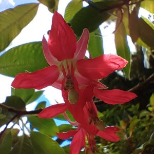 Botanischer_Garten_17.jpg