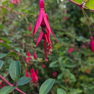 Botanischer_Garten_18.jpg