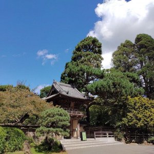 Japanischer_Teegarten_Teaser.jpg
