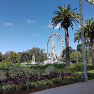 SkyStar_Ferris_Wheel.jpg