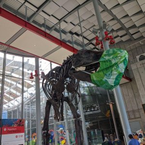 California_Academy_of_Science_sensible_T-Rex.jpg