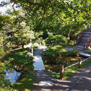 Japanischer_Teegarten_01.jpg